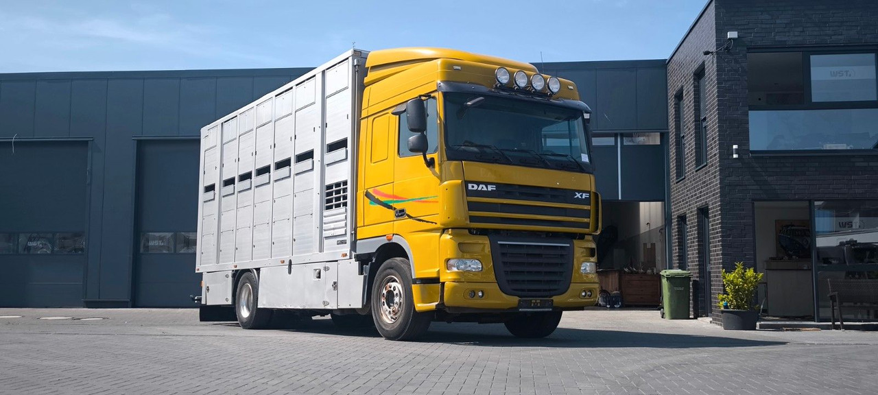 DAF XF 410 SC Menke Doppelstock - Tovornjak za prevoz konj: slika 4 DAF XF 410 SC Menke Doppelstock - Tovornjak za prevoz konj: slika 4