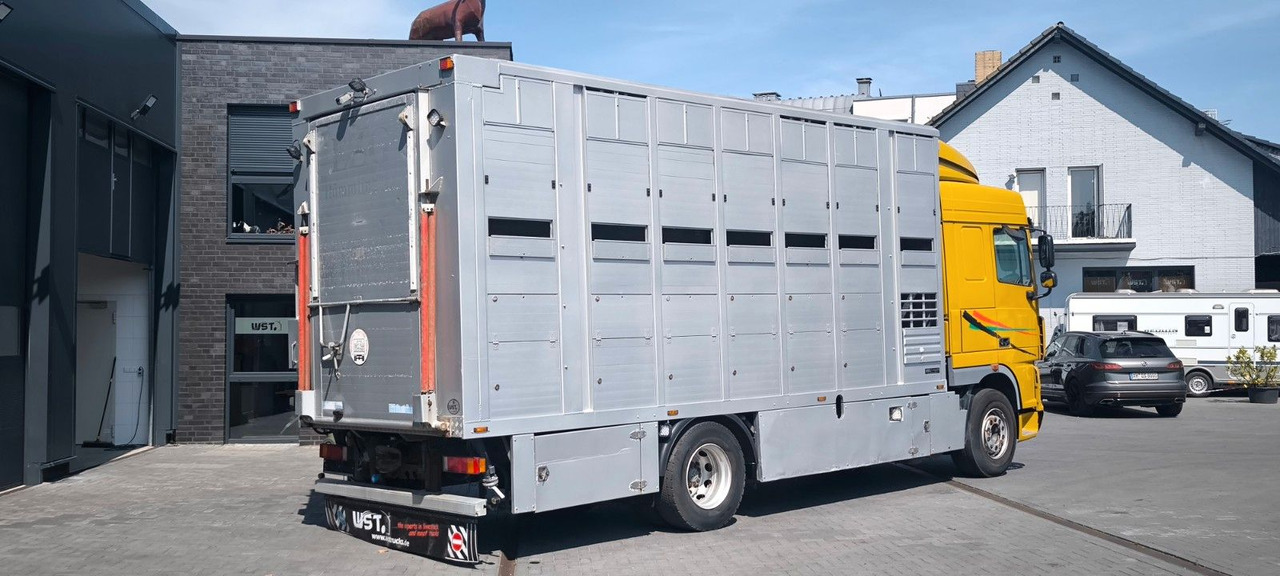 DAF XF 410 SC Menke Doppelstock - Tovornjak za prevoz konj: slika 3 DAF XF 410 SC Menke Doppelstock - Tovornjak za prevoz konj: slika 3