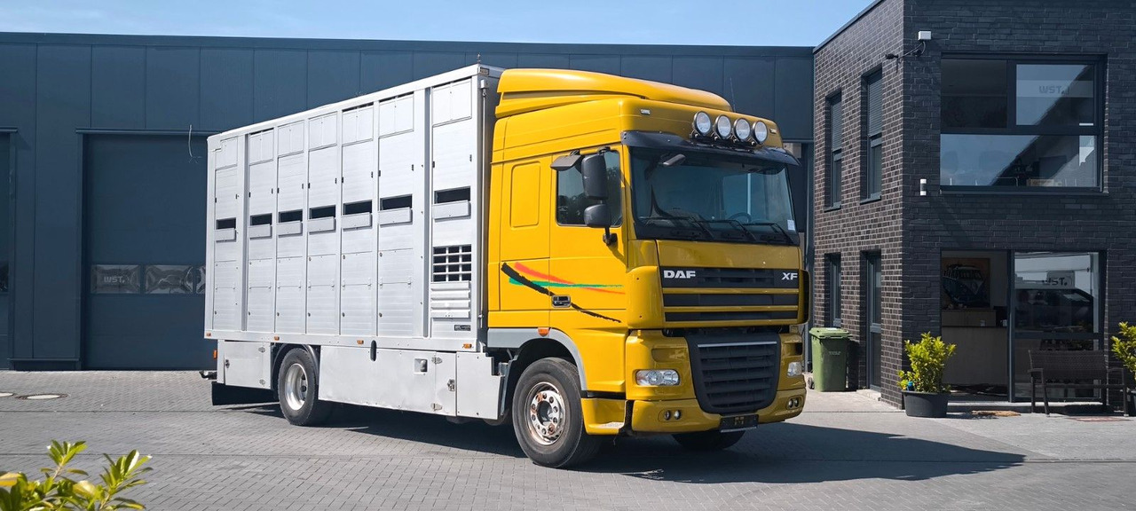 DAF XF 410 SC Menke Doppelstock - Tovornjak za prevoz konj: slika 2 DAF XF 410 SC Menke Doppelstock - Tovornjak za prevoz konj: slika 2