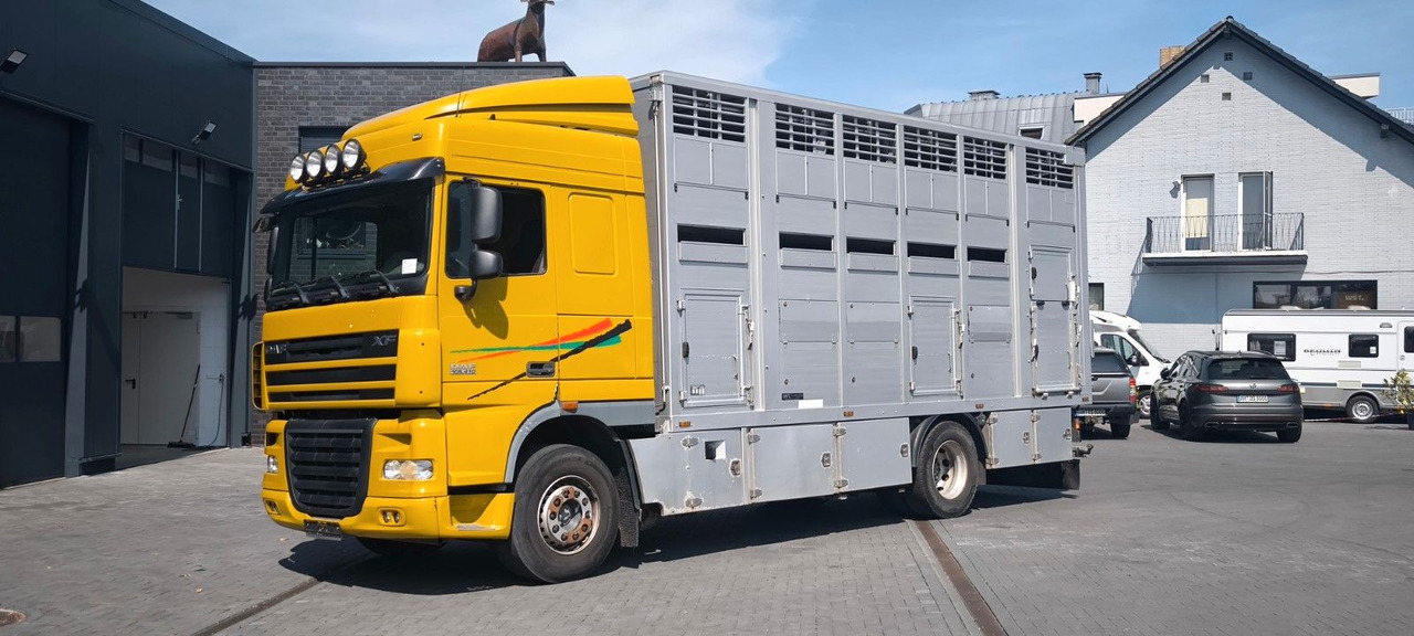 DAF XF 410 SC Menke Doppelstock - Tovornjak za prevoz konj: slika 5 DAF XF 410 SC Menke Doppelstock - Tovornjak za prevoz konj: slika 5