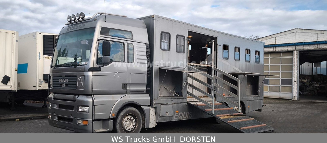 MAN TGA 26.480 FG 6x2 Pferdetransporter Luft/Luft - Tovornjak za prevoz konj: slika 1 MAN TGA 26.480 FG 6x2 Pferdetransporter Luft/Luft - Tovornjak za prevoz konj: slika 1