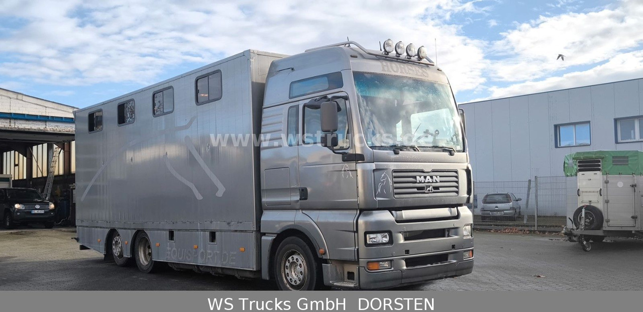 MAN TGA 26.480 FG 6x2 Pferdetransporter Luft/Luft - Tovornjak za prevoz konj: slika 3 MAN TGA 26.480 FG 6x2 Pferdetransporter Luft/Luft - Tovornjak za prevoz konj: slika 3