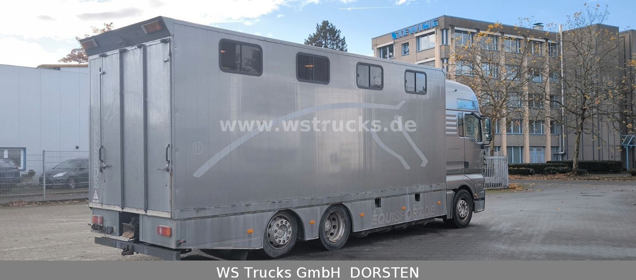 MAN TGA 26.480 FG 6x2 Pferdetransporter Luft/Luft - Tovornjak za prevoz konj: slika 4 MAN TGA 26.480 FG 6x2 Pferdetransporter Luft/Luft - Tovornjak za prevoz konj: slika 4