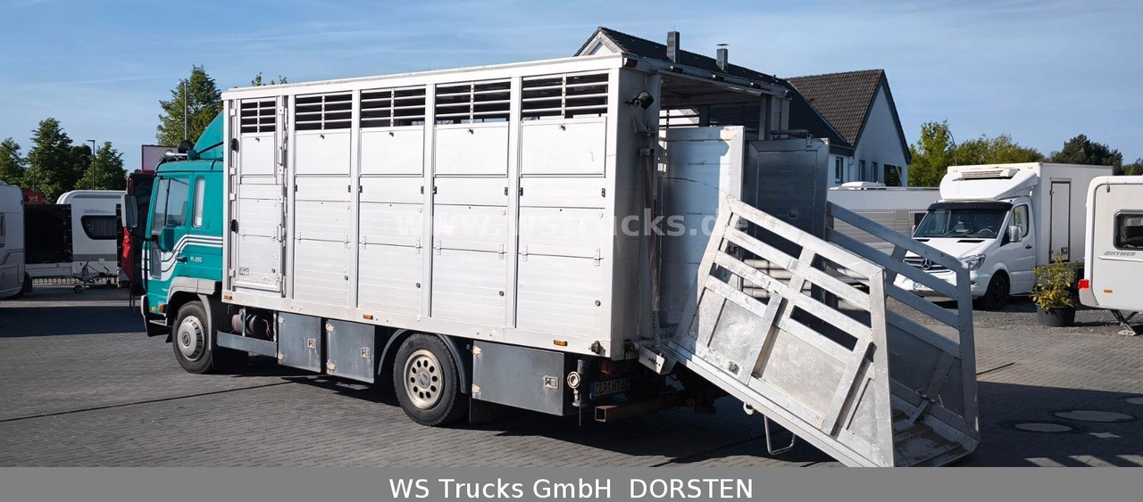 Volvo FL 220 Einstock Großvieh - Tovornjak za prevoz živine: slika 5 Volvo FL 220 Einstock Großvieh - Tovornjak za prevoz živine: slika 5