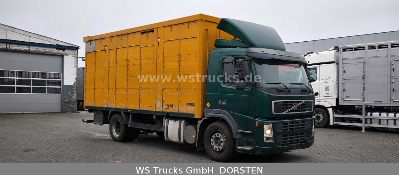 Volvo FM 260 mit KABA 2 Stock Vollalu - Tovornjak za prevoz konj: slika 3 Volvo FM 260 mit KABA 2 Stock Vollalu - Tovornjak za prevoz konj: slika 3