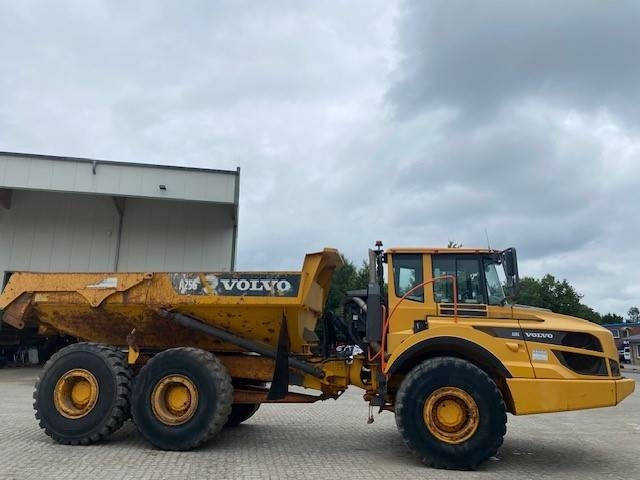 Volvo A 25 G MIETE / RENTAL (12000501) - Zglobni demper: slika 5 Volvo A 25 G MIETE / RENTAL (12000501) - Zglobni demper: slika 5