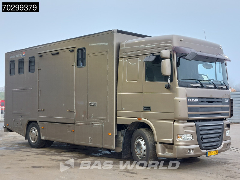DAF XF105.410 XF 4X2 NL-Truck JK Horsetruck 6 Horses Pferdentransport Manual Euro 5 - Tovornjak za prevoz konj: slika 3 DAF XF105.410 XF 4X2 NL-Truck JK Horsetruck 6 Horses Pferdentransport Manual Euro 5 - Tovornjak za prevoz konj: slika 3