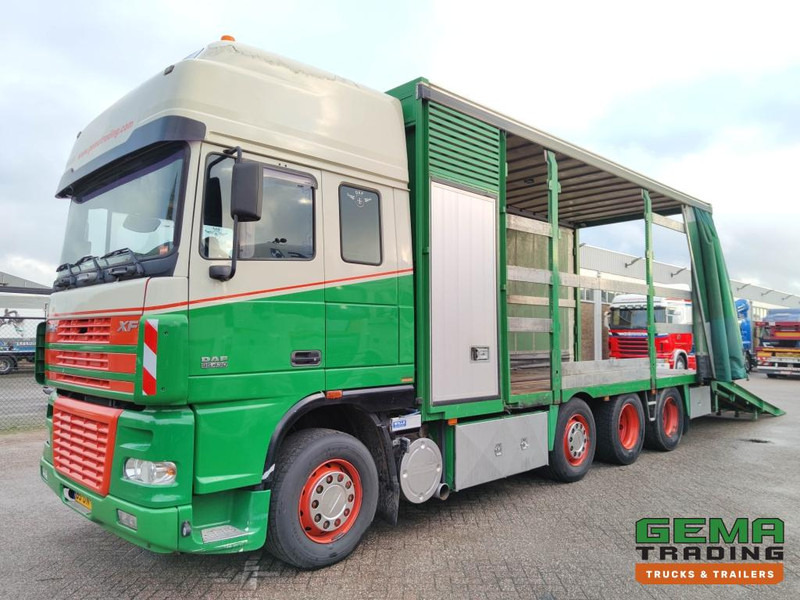 DAF FAK XF95.430 8x2 SuperSpaceCab Euro3 - CurtainSider 7.31m + Ramp 16T - MachineTransporter - 6 Persons  (V558) - Tovornjak avtotransporter: slika 1 DAF FAK XF95.430 8x2 SuperSpaceCab Euro3 - CurtainSider 7.31m + Ramp 16T - MachineTransporter - 6 Persons  (V558) - Tovornjak avtotransporter: slika 1
