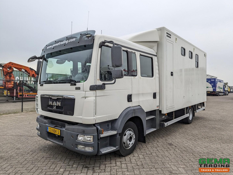 MAN TGL 12.180 4x2 DoKa 7 pers. Euro5 EEV - Paardenwagen 2-Paards - 147.000km! - MARGE - Tovornjak za prevoz konj: slika 3 MAN TGL 12.180 4x2 DoKa 7 pers. Euro5 EEV - Paardenwagen 2-Paards - 147.000km! - MARGE - Tovornjak za prevoz konj: slika 3