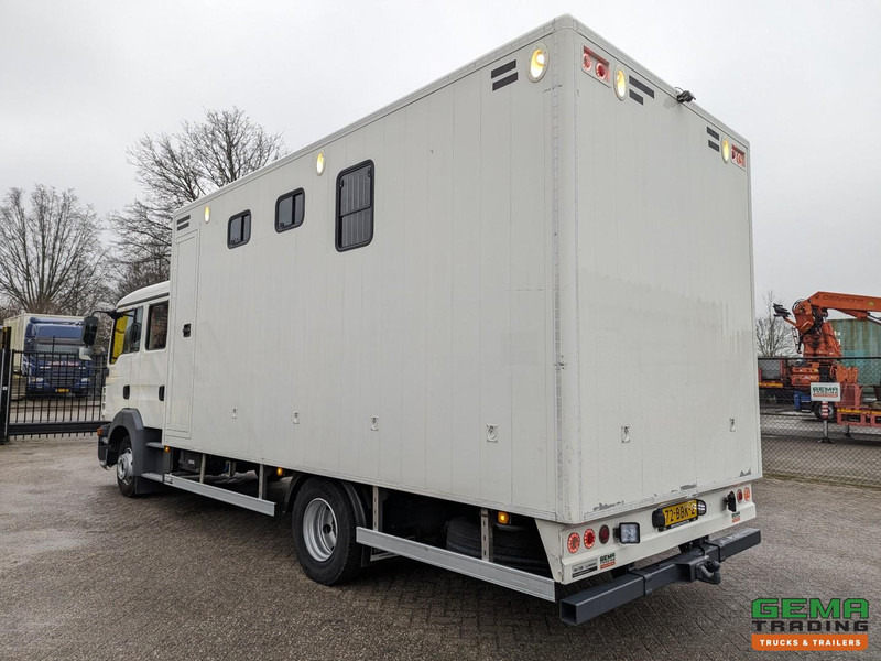MAN TGL 12.180 4x2 DoKa 7 pers. Euro5 EEV - Paardenwagen 2-Paards - 147.000km! - MARGE - Tovornjak za prevoz konj: slika 4 MAN TGL 12.180 4x2 DoKa 7 pers. Euro5 EEV - Paardenwagen 2-Paards - 147.000km! - MARGE - Tovornjak za prevoz konj: slika 4
