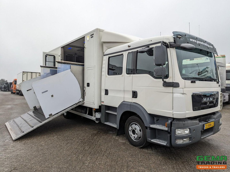 MAN TGL 12.180 4x2 DoKa 7 pers. Euro5 EEV - Paardenwagen 2-Paards - 147.000km! - MARGE - Tovornjak za prevoz konj: slika 1 MAN TGL 12.180 4x2 DoKa 7 pers. Euro5 EEV - Paardenwagen 2-Paards - 147.000km! - MARGE - Tovornjak za prevoz konj: slika 1
