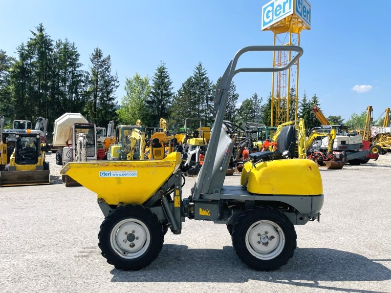 Neuson 1001 (3631) - Mini demper: slika 1 Neuson 1001 (3631) - Mini demper: slika 1