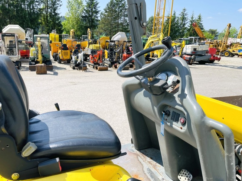 Neuson 1001 (3631) - Mini demper: slika 5 Neuson 1001 (3631) - Mini demper: slika 5