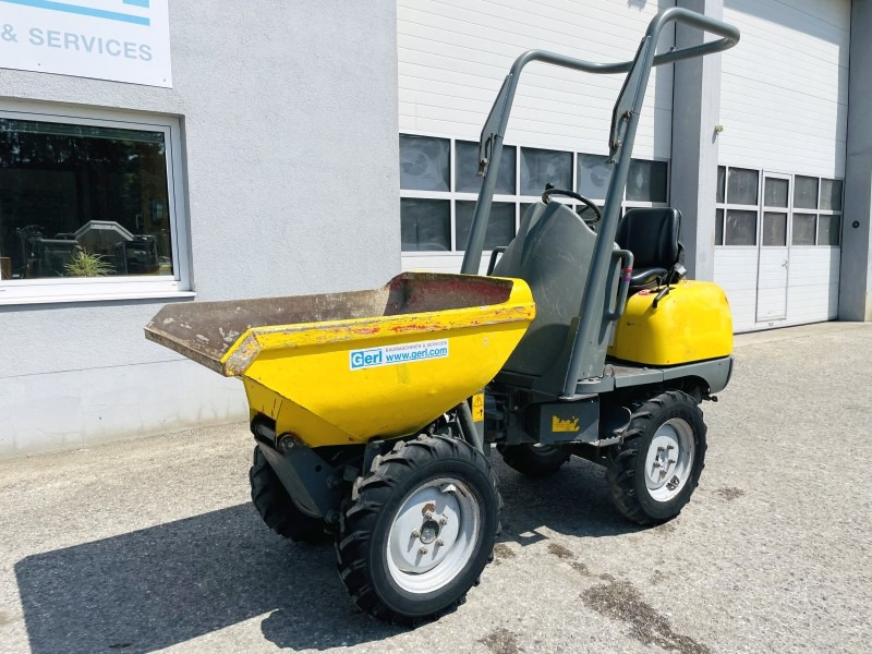 Neuson 1001 (3631) - Mini demper: slika 4 Neuson 1001 (3631) - Mini demper: slika 4