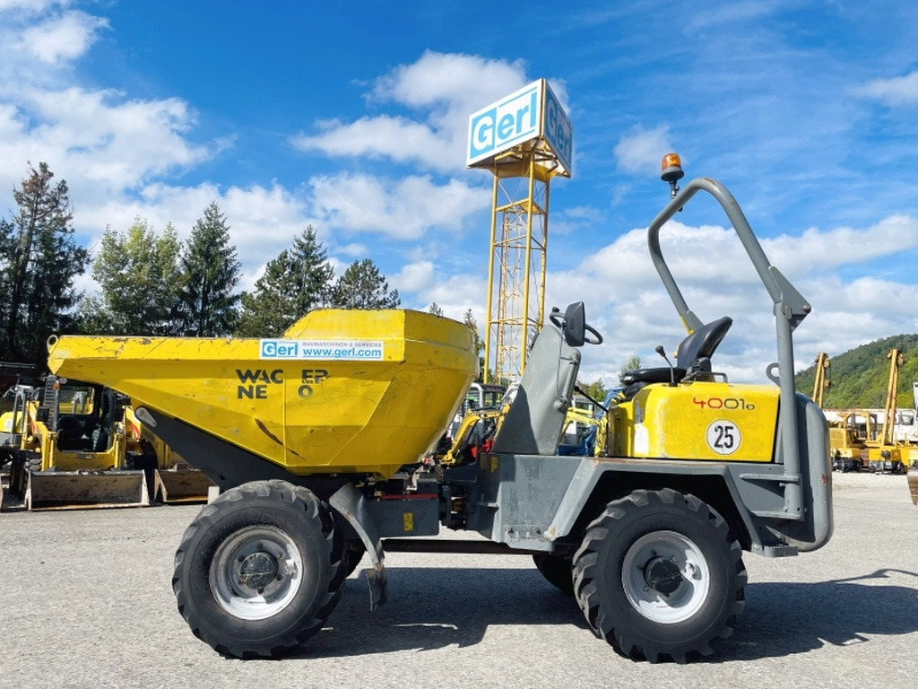 Neuson 4001 (4075) - Mini demper: slika 1 Neuson 4001 (4075) - Mini demper: slika 1