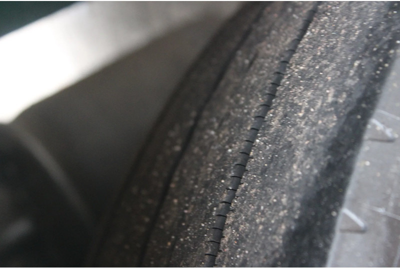 Tovornjak hladilnik Scania R490 + 6X2 + EURO 6 + heating truck/ flowers FULL OPTION: slika 16