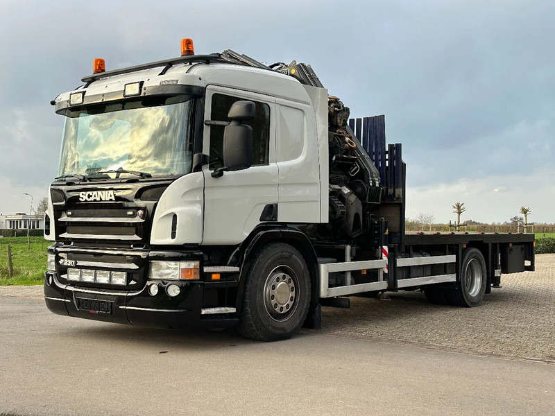 Tovornjak z dvigalom Scania P230 36tm KRAAN+JIB+LIER/WINCH+EURO5!!ROOF/DACH!!MANUTENTION!!: slika 7