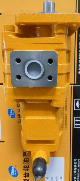 Qingdao Promising Hydraulic Double Gear Pumps Fit China Loader - Hidravlična črpalka za Kolesni nakladalec: slika 5 Qingdao Promising Hydraulic Double Gear Pumps Fit China Loader - Hidravlična črpalka za Kolesni nakladalec: slika 5