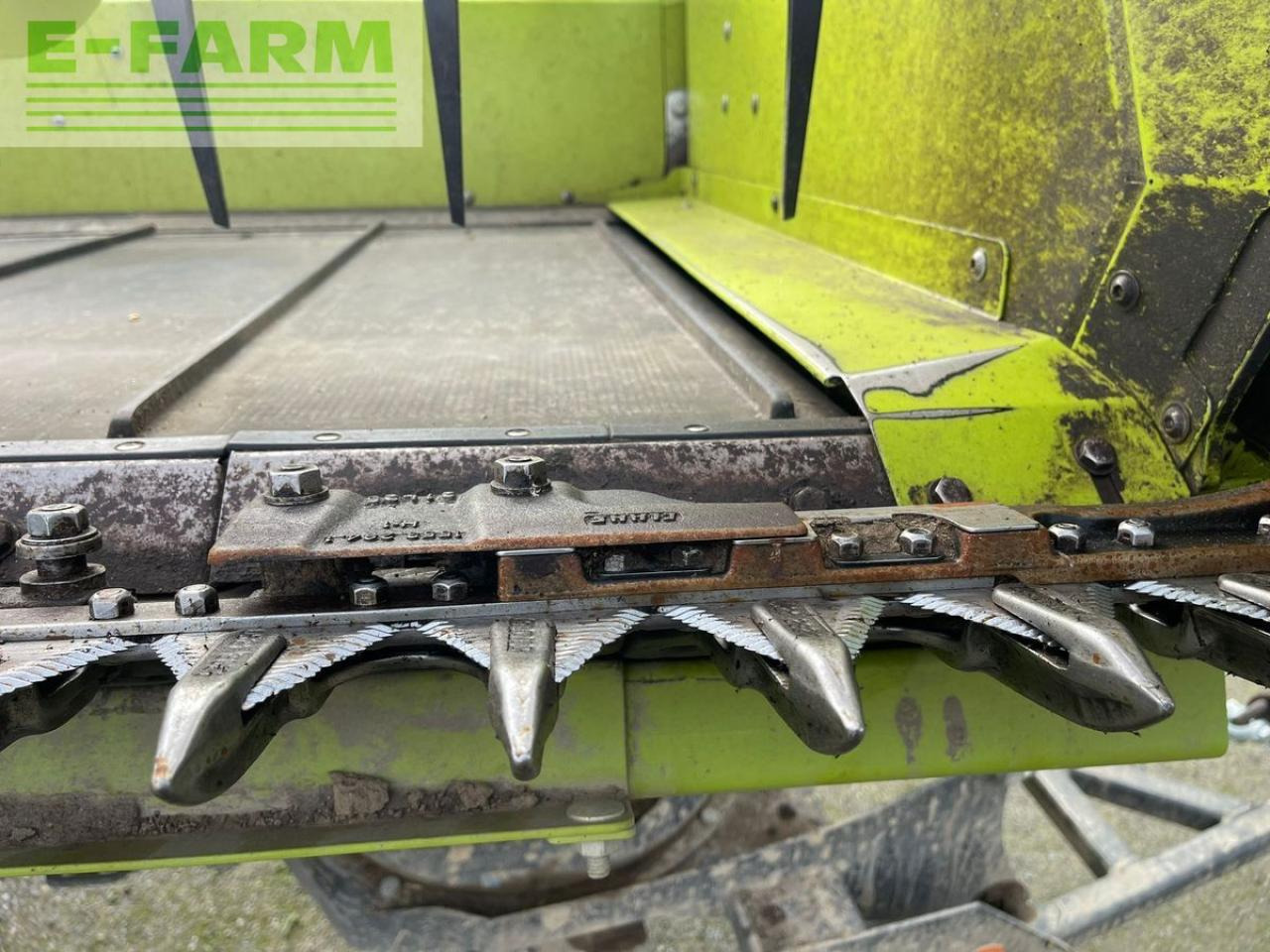 CLAAS covio flex 930 - Glava za kombajn: slika 3 CLAAS covio flex 930 - Glava za kombajn: slika 3