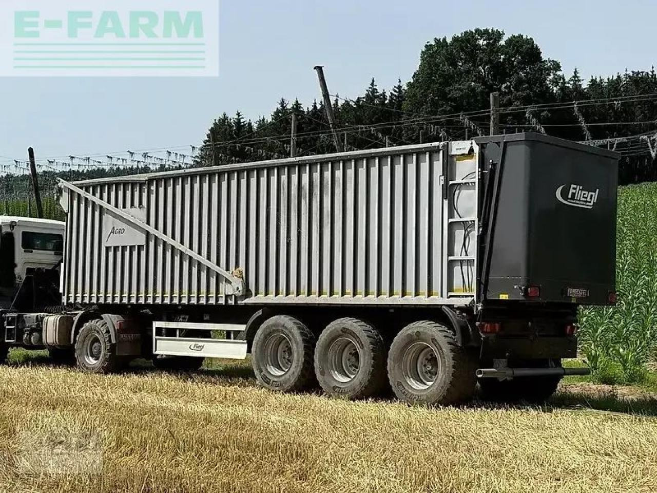 Fliegl asw / ass 3101 - Kmetijska kiper prikolica/ Demper: slika 1 Fliegl asw / ass 3101 - Kmetijska kiper prikolica/ Demper: slika 1