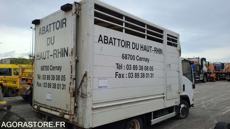 Bétaillère abattoir ISUZU - 2008 - Tovornjak za prevoz živine: slika 3 Bétaillère abattoir ISUZU - 2008 - Tovornjak za prevoz živine: slika 3