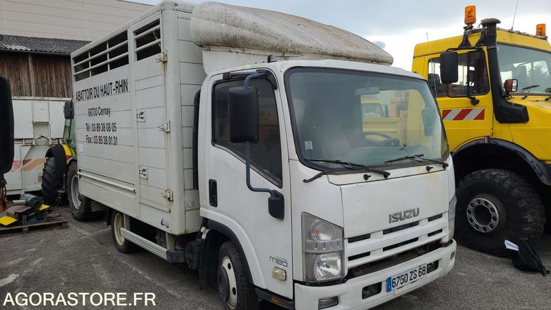 Bétaillère abattoir ISUZU - 2008 - Tovornjak za prevoz živine: slika 2 Bétaillère abattoir ISUZU - 2008 - Tovornjak za prevoz živine: slika 2