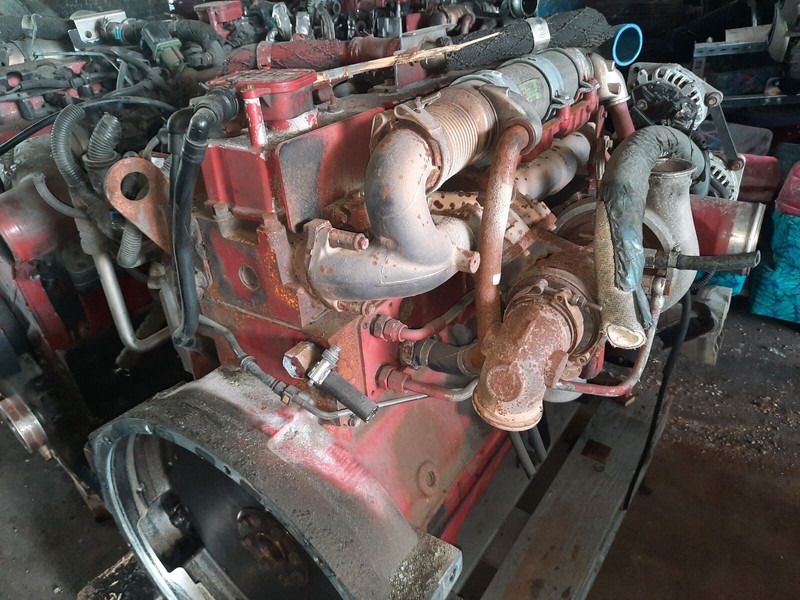 Cummins ISLG320 - Motor: slika 5 Cummins ISLG320 - Motor: slika 5