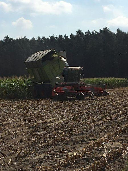 Claas Jaguar 900 Field Shuttle C 35 - Kmetijski stroj: slika 5 Claas Jaguar 900 Field Shuttle C 35 - Kmetijski stroj: slika 5