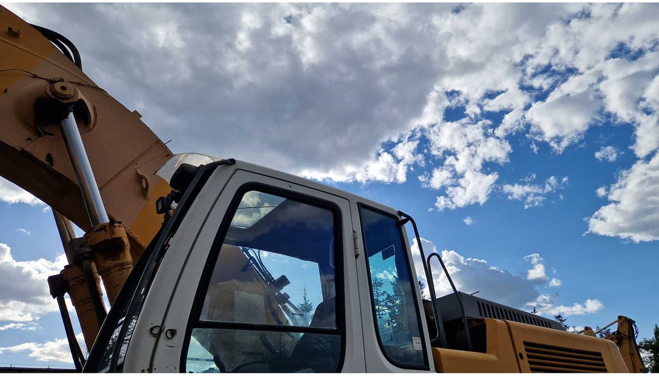 Bager 2008 LIEBHERR R944C TRACKED EXCAVATOR: slika 25