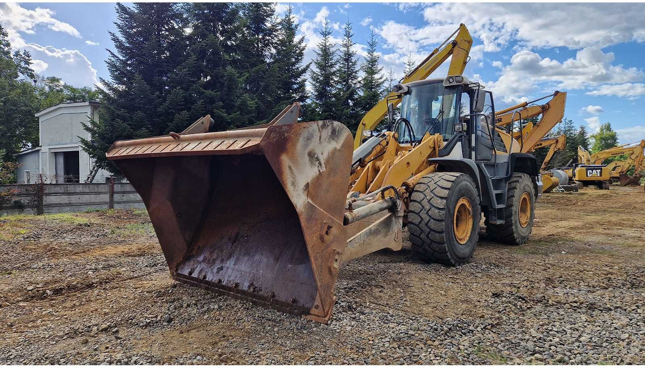Liebherr L550 - Kolesni nakladalec: slika 1 Liebherr L550 - Kolesni nakladalec: slika 1