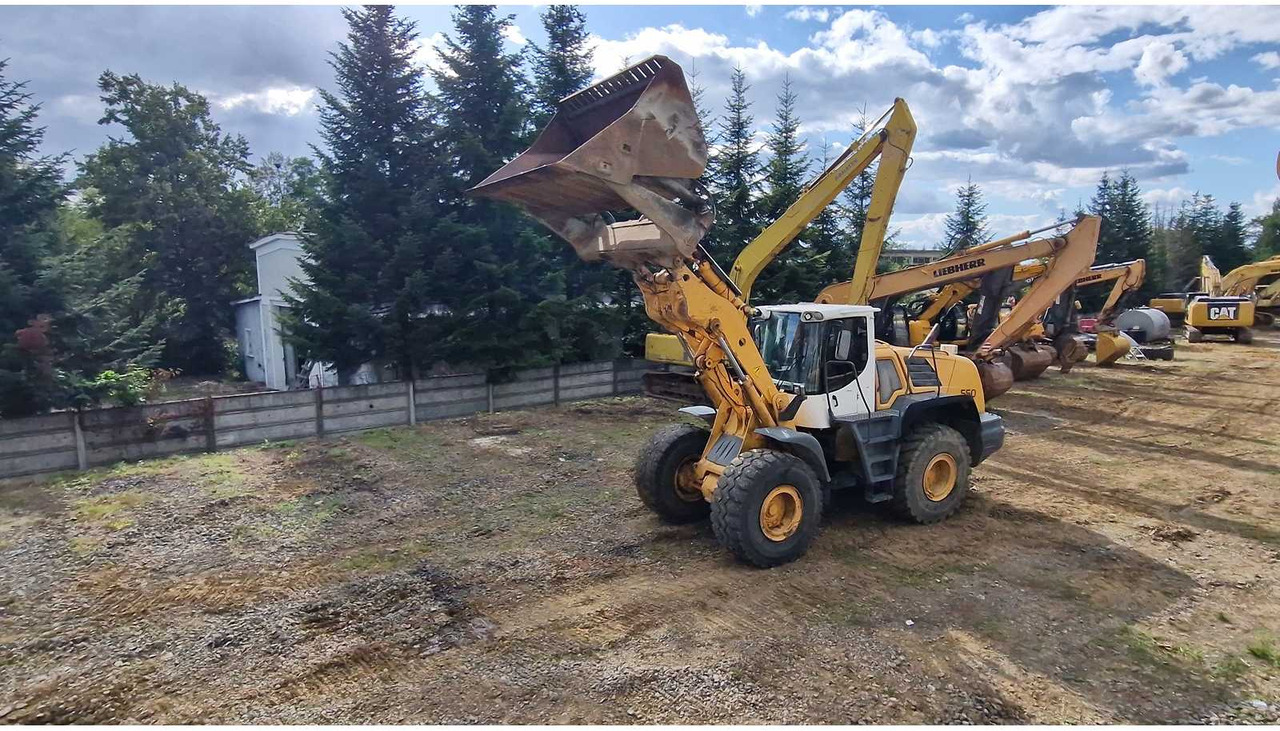 Liebherr L550 - Kolesni nakladalec: slika 4 Liebherr L550 - Kolesni nakladalec: slika 4
