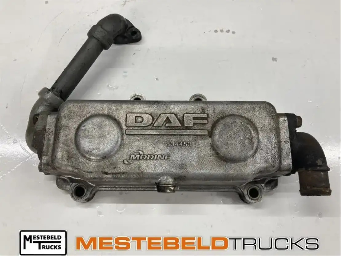 DAF Oliekoeler - Motor za Tovornjak: slika 1 DAF Oliekoeler - Motor za Tovornjak: slika 1