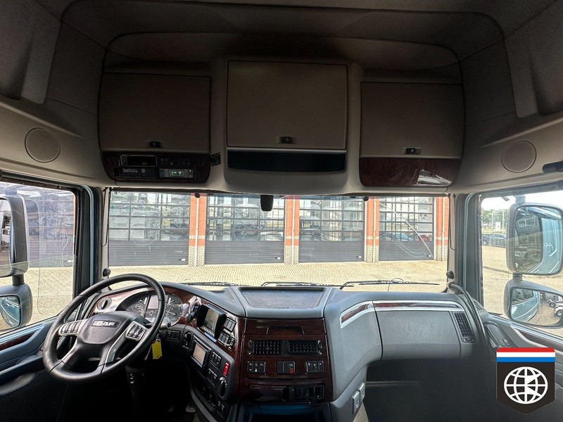 Tovornjak hladilnik DAF XF 460 FAN TRS ICELAND / SMART TACHO 2 /FLOWERS / RACE / HORSE: slika 12