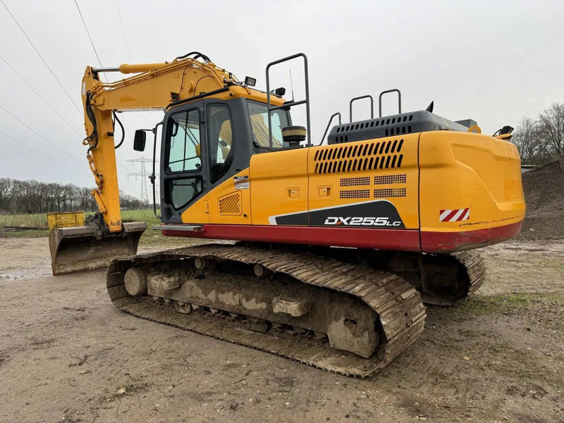 Doosan DX255LC-5 2015 10800 hr STRAIGHT FROM WORK ! DUTCH MACHINE ! - Bager goseničar: slika 2 Doosan DX255LC-5 2015 10800 hr STRAIGHT FROM WORK ! DUTCH MACHINE ! - Bager goseničar: slika 2