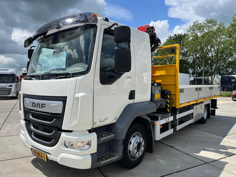 DAF LF 230 FA - Tovornjak z dvigalom: slika 1 DAF LF 230 FA - Tovornjak z dvigalom: slika 1