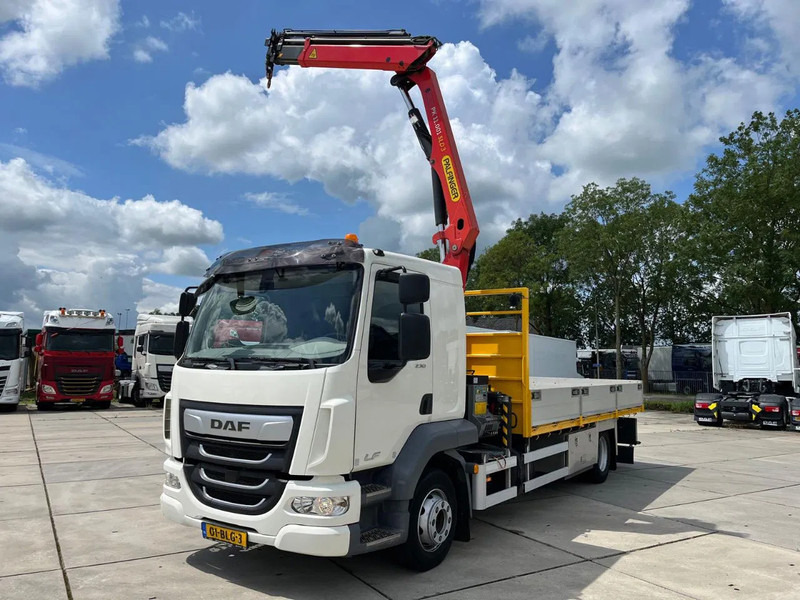 DAF LF 230 FA - Tovornjak z dvigalom: slika 3 DAF LF 230 FA - Tovornjak z dvigalom: slika 3