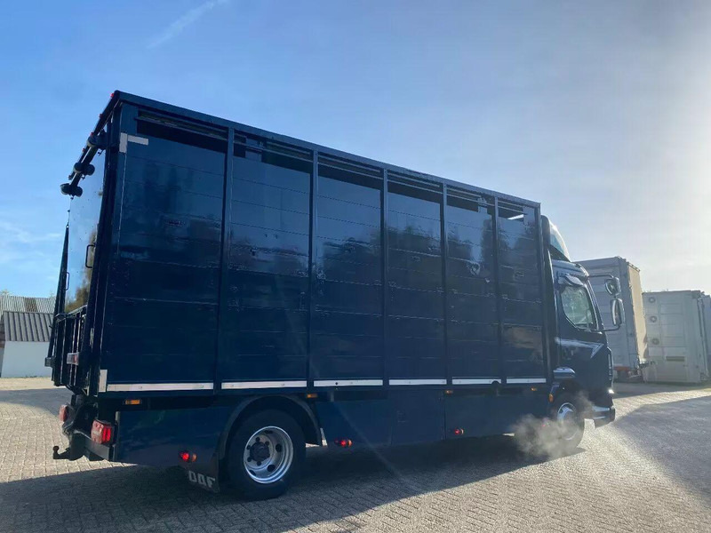 DAF LF 280 - Tovornjak za prevoz živine: slika 3 DAF LF 280 - Tovornjak za prevoz živine: slika 3