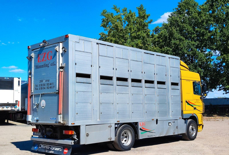 DAF XF410 Menke Doppelstock - Tovornjak za prevoz živine: slika 5 DAF XF410 Menke Doppelstock - Tovornjak za prevoz živine: slika 5