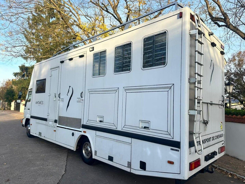 MAN 10.224 - Tovornjak za prevoz konj: slika 3 MAN 10.224 - Tovornjak za prevoz konj: slika 3