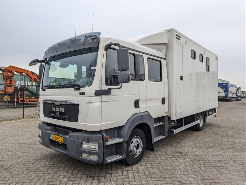 MAN TGL 12.180 - Doka Horse transporter - Tovornjak za prevoz konj: slika 1 MAN TGL 12.180 - Doka Horse transporter - Tovornjak za prevoz konj: slika 1