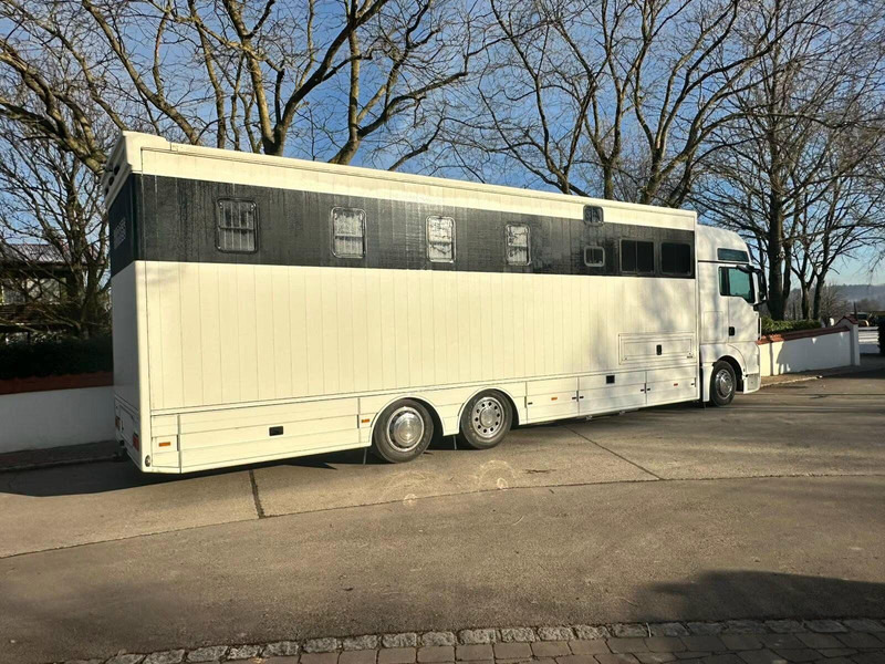 MAN TGX 26.440 - Horse transporter - Tovornjak za prevoz konj: slika 3 MAN TGX 26.440 - Horse transporter - Tovornjak za prevoz konj: slika 3