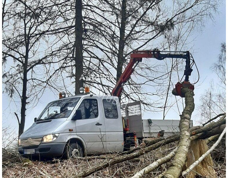 Mercedes-Benz 413 - Doka tipper+crane with gripper - Tovornjak prekucnik, Tovornjak z dvigalom: slika 3 Mercedes-Benz 413 - Doka tipper+crane with gripper - Tovornjak prekucnik, Tovornjak z dvigalom: slika 3