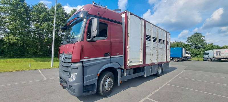 Mercedes-Benz Actros 1851 - Tovornjak za prevoz živine: slika 1 Mercedes-Benz Actros 1851 - Tovornjak za prevoz živine: slika 1
