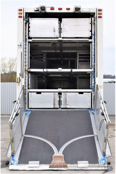 Scania R 500 - Tovornjak za prevoz živine: slika 4 Scania R 500 - Tovornjak za prevoz živine: slika 4