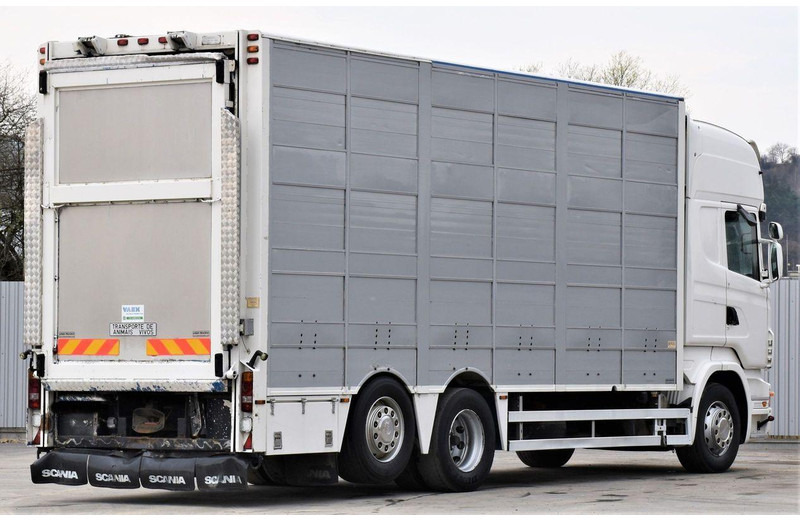 Scania R 500 - Tovornjak za prevoz živine: slika 5 Scania R 500 - Tovornjak za prevoz živine: slika 5