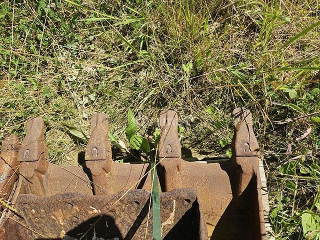 ARDEN QA11 - Žlica: slika 3 ARDEN QA11 - Žlica: slika 3