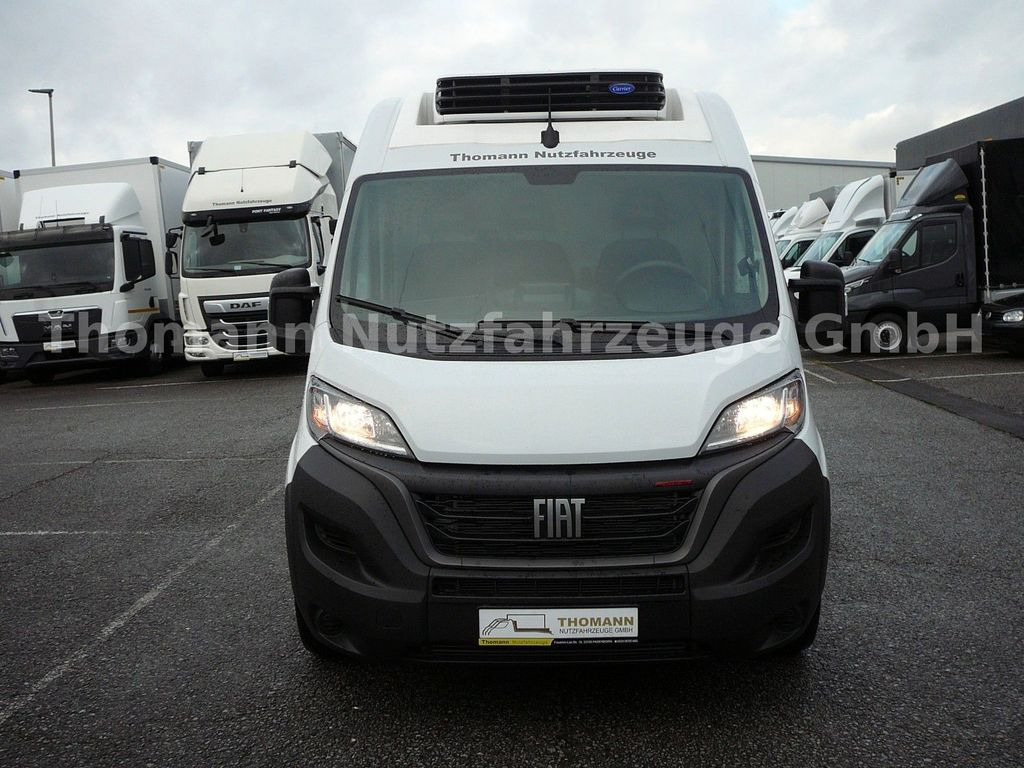 Fiat Ducato Kühlkasten L4/H2 Carrier Xarios 300GH - Hladilno vozilo: slika 2 Fiat Ducato Kühlkasten L4/H2 Carrier Xarios 300GH - Hladilno vozilo: slika 2