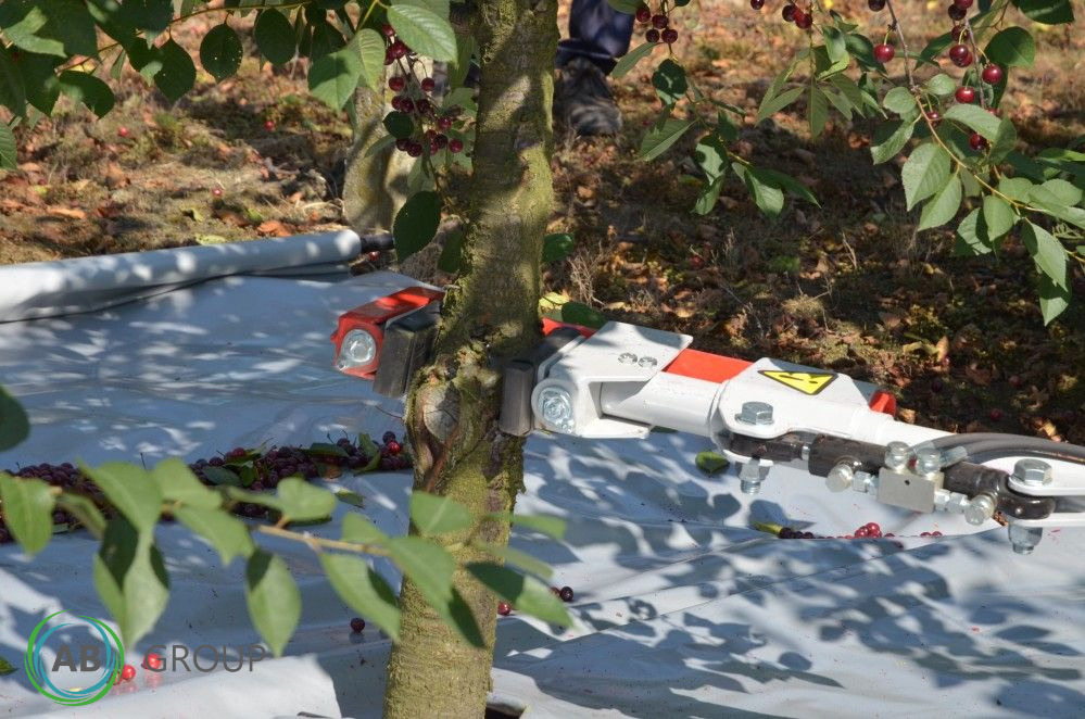 Jagoda fruits shaker PESTKA - Priključek za kombajn: slika 3 Jagoda fruits shaker PESTKA - Priključek za kombajn: slika 3