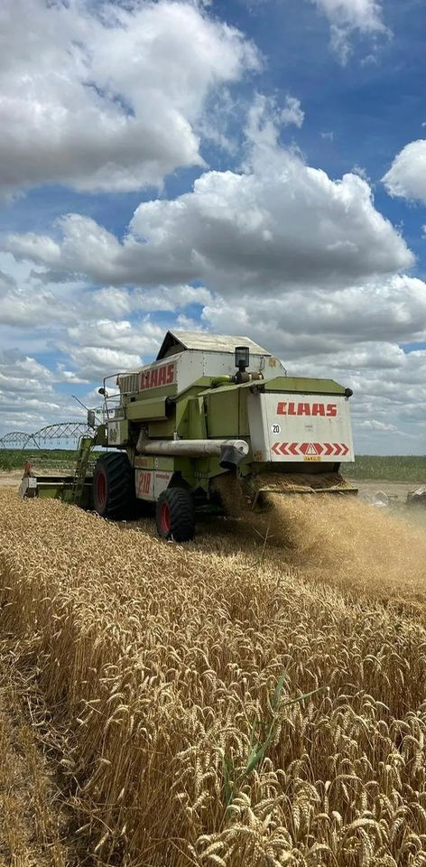 Claas MEGA 218 - Kombajn harvester: slika 5 Claas MEGA 218 - Kombajn harvester: slika 5