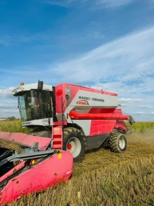 Massey Ferguson 7274 CEREA - Kombajn harvester: slika 1 Massey Ferguson 7274 CEREA - Kombajn harvester: slika 1